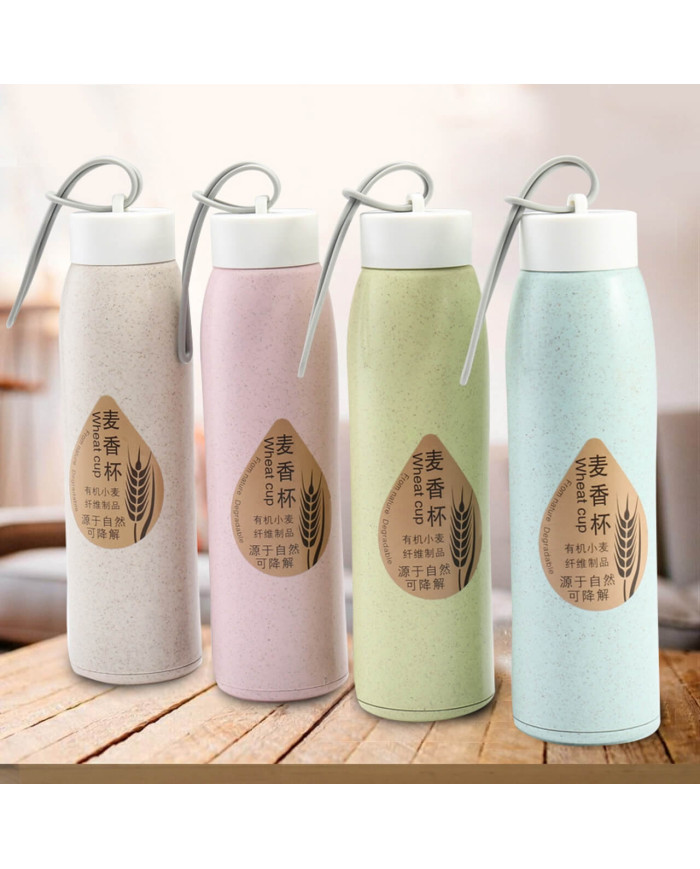 Botilito Ecovidrio 7