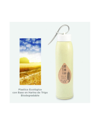 Botilito Ecovidrio 7 Botilito Ecovidrio 7