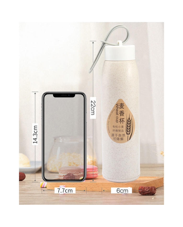 Botilito Ecovidrio 7