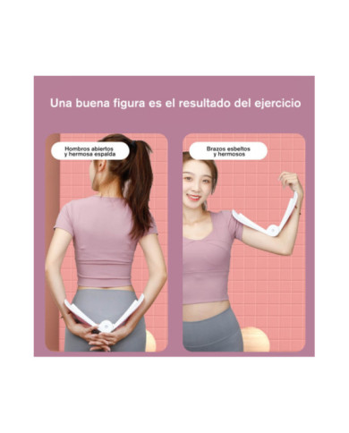 Ejercitador Pelvico Ejercitador Pelvico