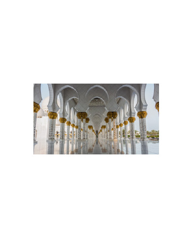 COMBINADO DUBAI Y ABU DHABI  2023-2024