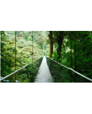 COSTA RICA NATURALEZA Y PLAYA 2023