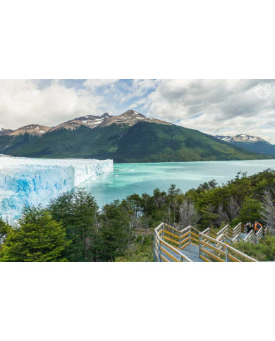 EL CALAFATE   BASICO  2023-2024