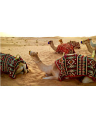 EMIRATOS AL COMPLETO 2022-2023