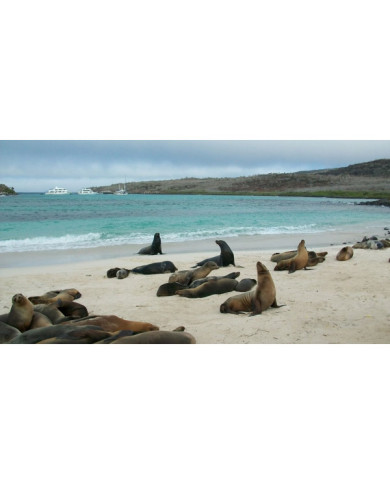 GALAPAGOS BASICO  3 DIAS  2023 GALAPAGOS BASICO  3 DIAS  2023