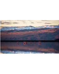 HIELOS MILENARIOS 2023-2024