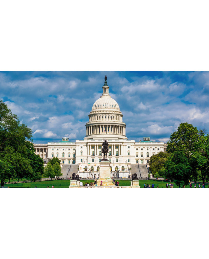 MINI WASHINGTON 2023