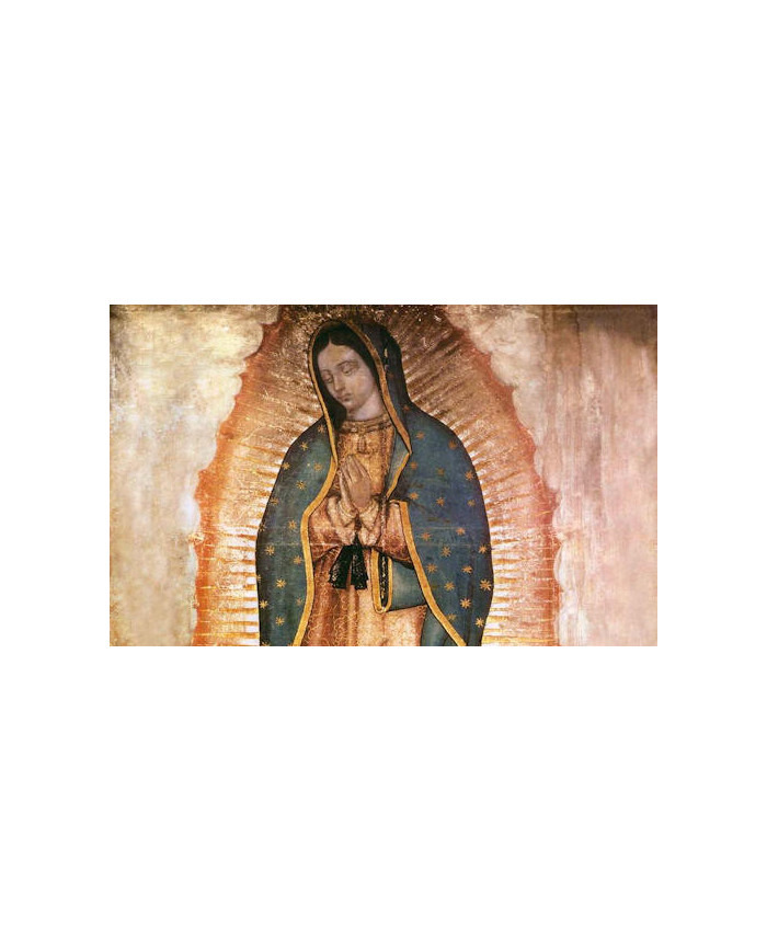 PEREGRINACION VIRGEN DE GUADALUPE 2023