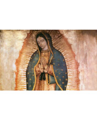 PEREGRINACION VIRGEN DE GUADALUPE 2023