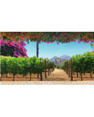 SANTIAGO TOTAL  2023