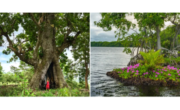 ¿Sabías que Antioquia tiene mar?